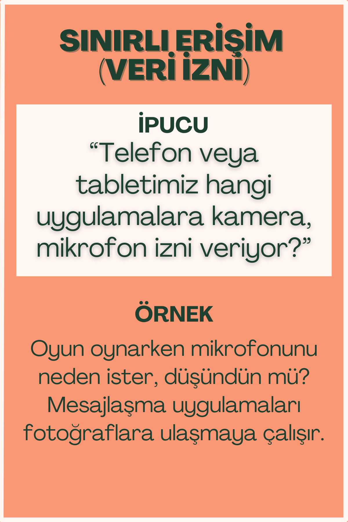 Sınırlı erişim ve veri izni konulu flash kart ön yüzü