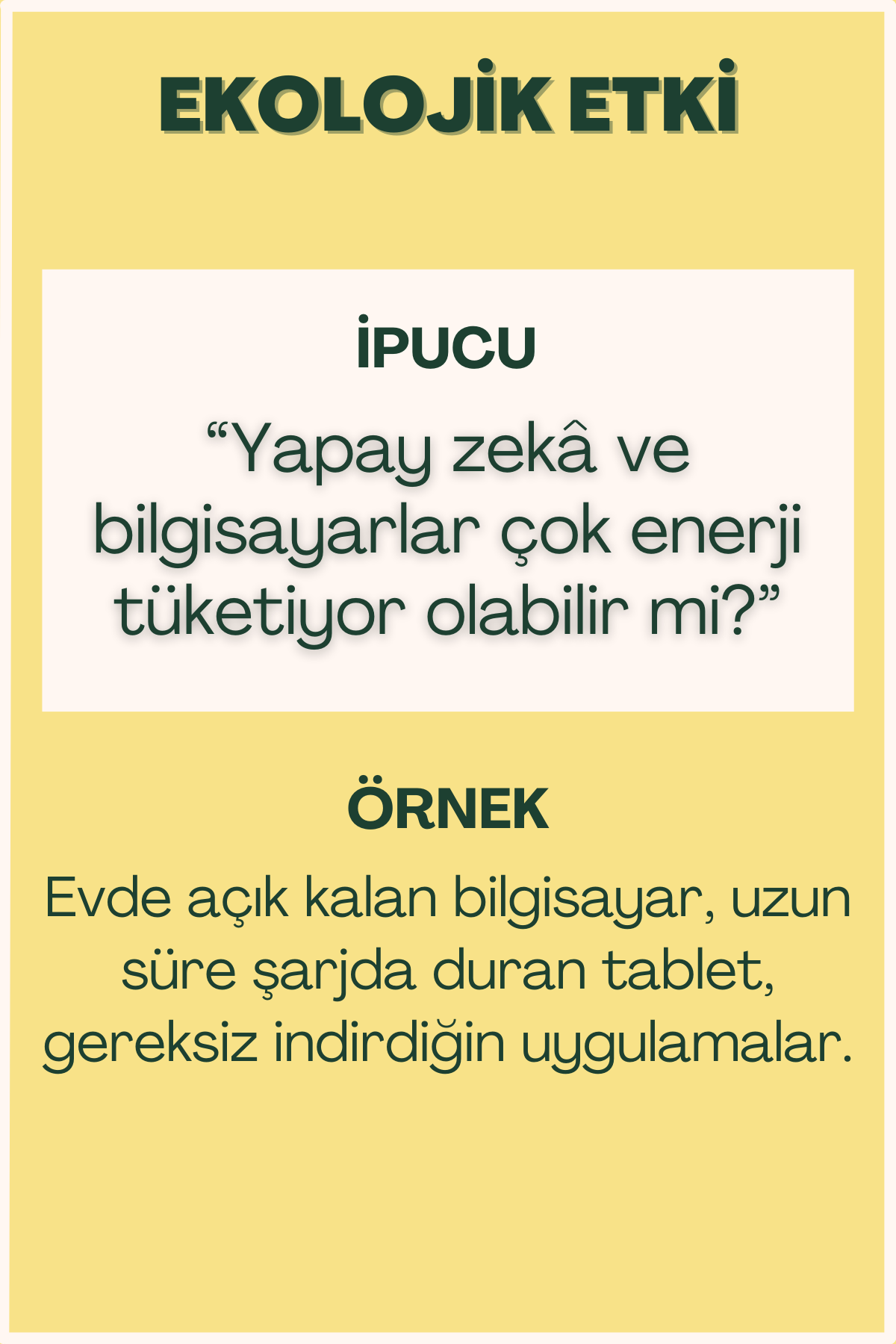 Ekolojik etki konulu flash kart ön yüzü