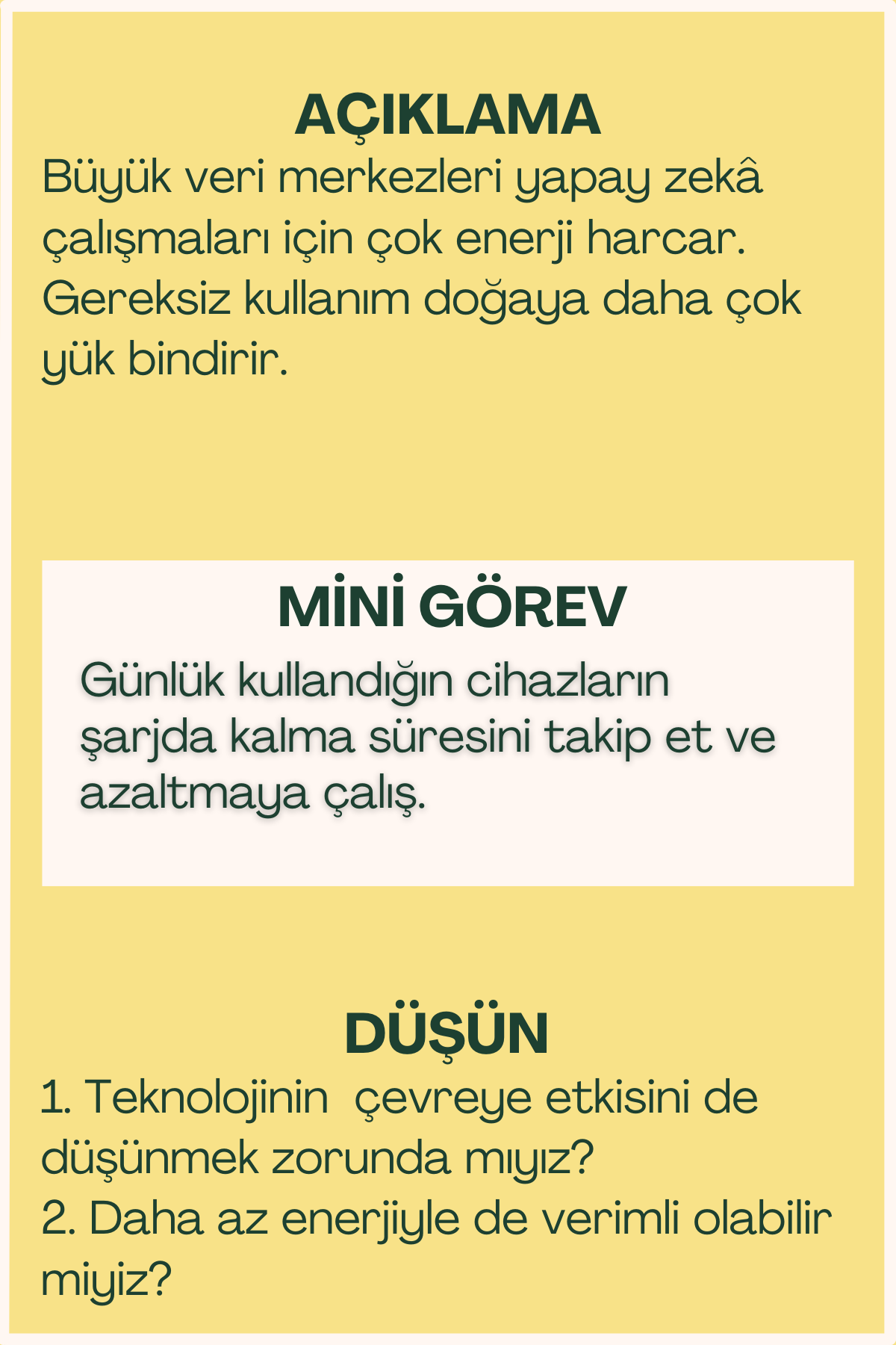 Ekolojik etki açıklaması ve mini görev içeren flash kart arka yüzü